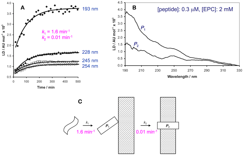 Schematic showing data from LD kinetics experiments