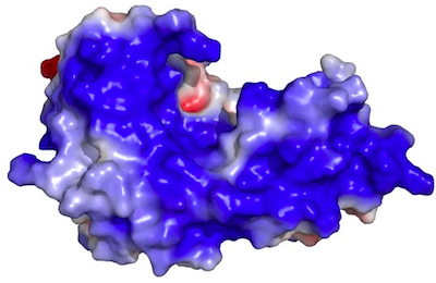 Cover of Org. Biomol. Chem. from 2009