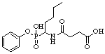 the structure of the antigen bound to the antibody